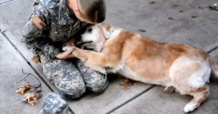 Hund sieht endlich sein Frauchen wieder - Seine Reaktion ist so rührend, dass die Tränen kullern