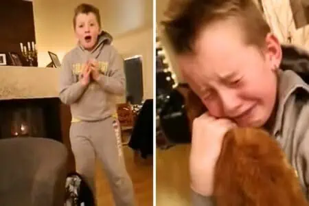 Junge sucht 7 Monate seine Katze - als er eines Tages nach Hause kommt, fließen Tränen des Glücks