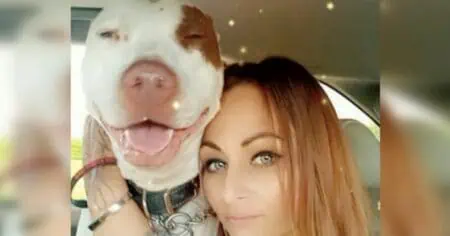Rührt zu Tränen: Frau bricht ins Tierheim ein, um ihren Hund vor der Zwangstötung zu retten