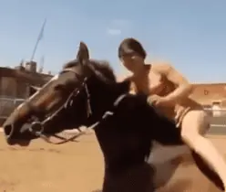 Will das Pferd weglaufen?