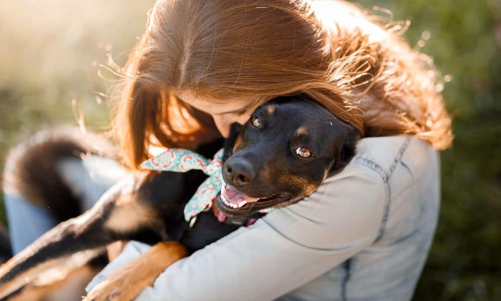 Vorteile der Hundehaltung