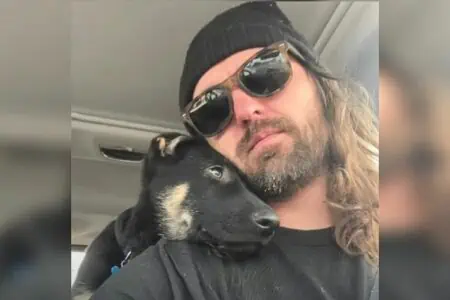 Depressiver Mann kauft Schäferhund-Welpen - wie sich das Leben von beiden verändert, rührt zu Tränen
