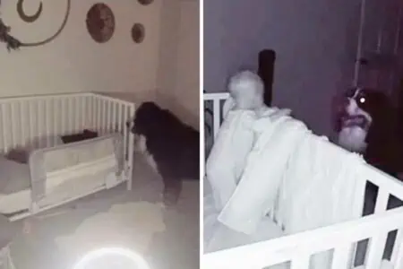 Eltern sehen ihren Berner Sennenhund zu Baby ins Zimmer gehen – was er dort tut, ist einfach rührend