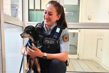 Frau vergisst Welpen im Zug: Wie die Polizei die Besitzerin wiederfindet, ist einfach genial