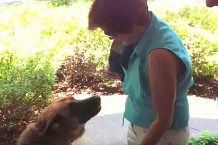Frau war 36 Stunden von ihrem Hund getrennt - Seine Reaktion bei ihrer Rückkehr ist unbezahlbar