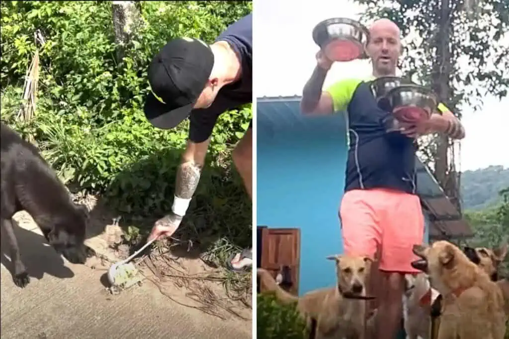 Herzergreifendes Video: Mann gibt gut bezahlten Job auf, um jeden Tag 800 Straßenhunde zu füttern