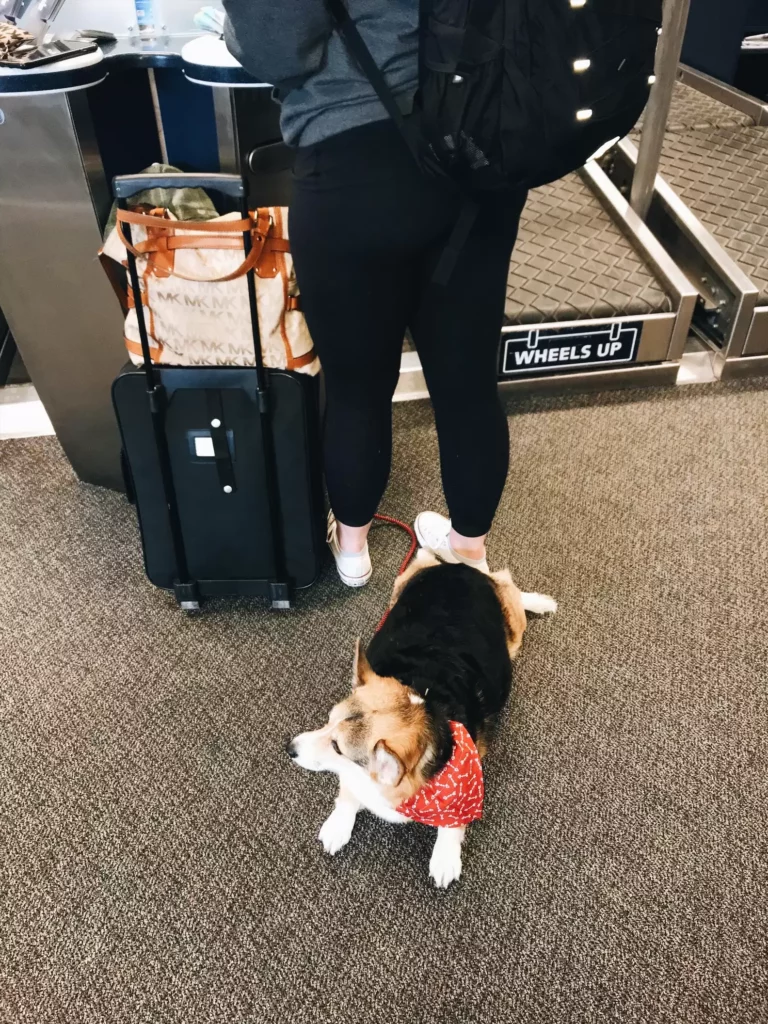 Cora auf Reisen 