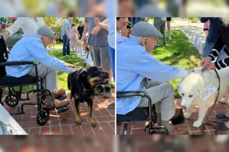 Mann liebt Hunde über alles - zu seinem 100. Geburtstag bekommt er die Überraschung seines Lebens