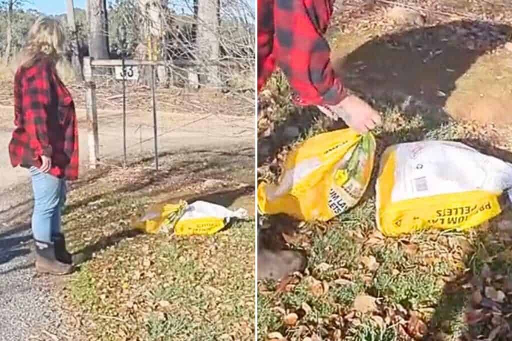Mitarbeiterin der Tierrettung entdeckt Müllsäcke vor dem Eingang - der Inhalt ist unfassbar grausam