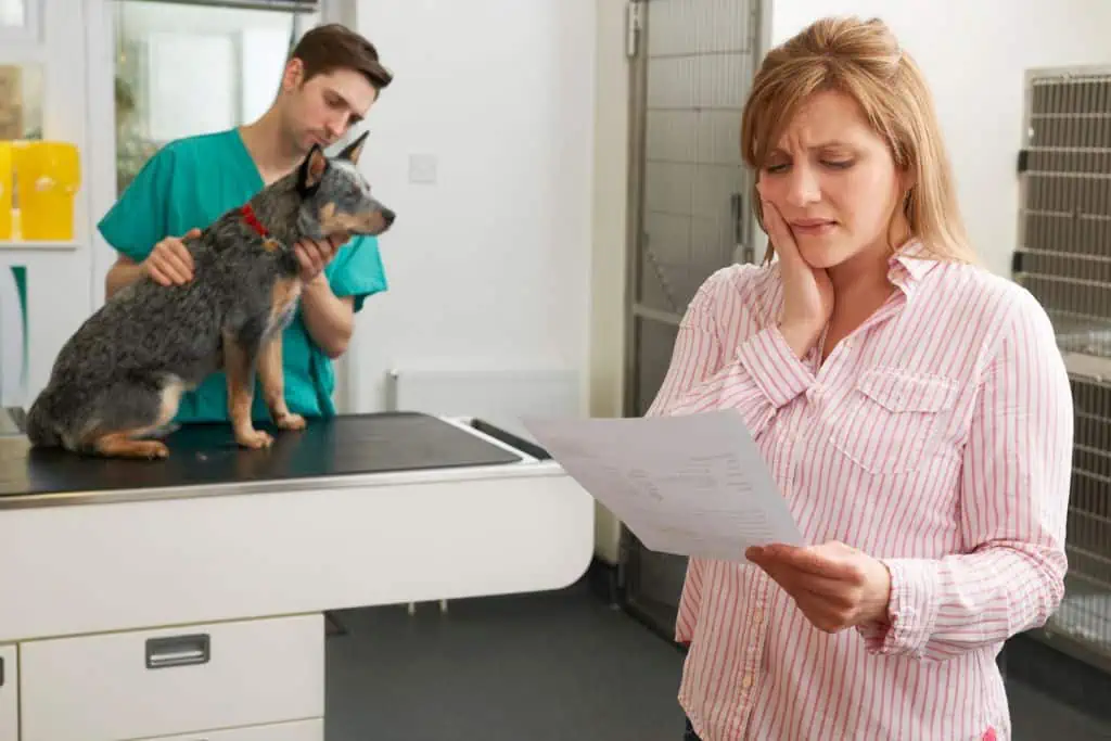 Übernimmt die Hundekrankenversicherung die Kosten für die Kastration beim Hund?