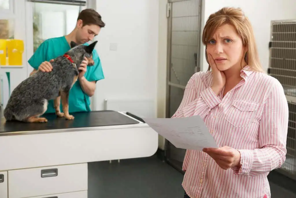 Übernimmt die Hundekrankenversicherung die Kosten für eine Patellaluxation-OP?