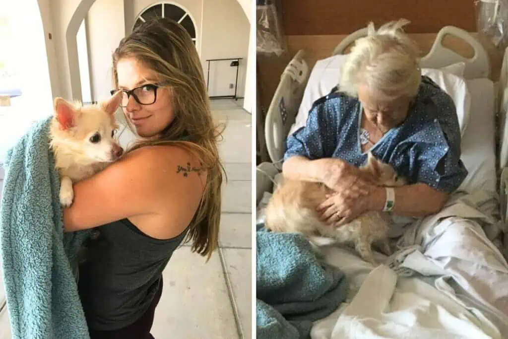 Frau schmuggelt Hund zu ihrer Oma ins Krankenhaus - wie sie das macht, ist einfach genial