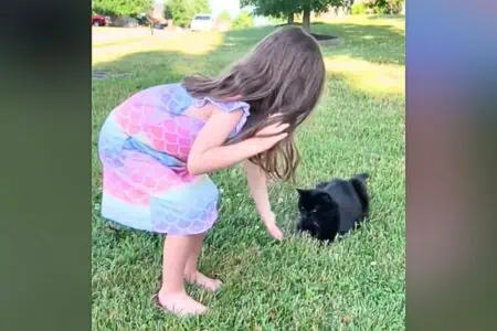 Herzergreifendes Video: Kleines Mädchen muss sich für immer von ihrem Lieblingskater verabschieden