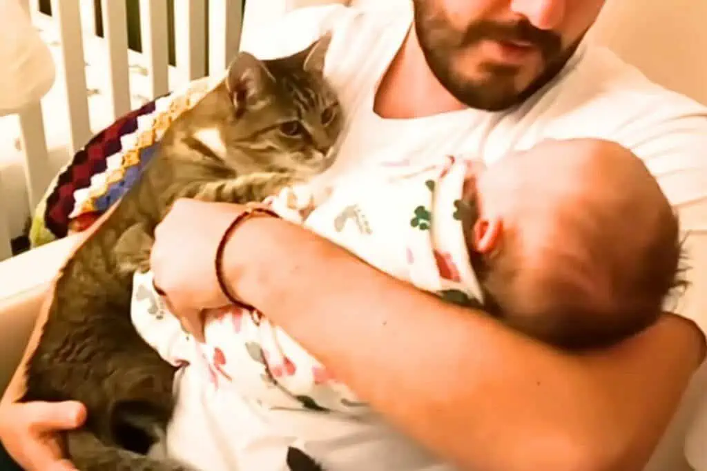 Katze trifft zum ersten Mal Menschenbaby- Ihre Reaktion lässt alle Herzen höher schlagen