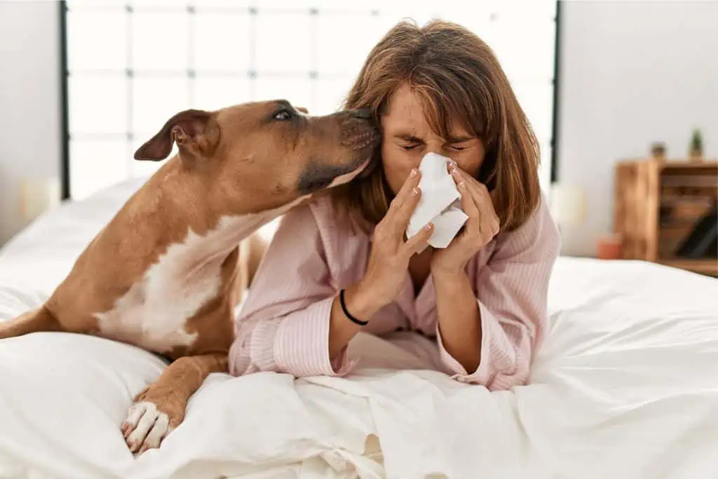 Können Hunde tatsächlich erkennen, ob ihre Besitzer krank sind?
