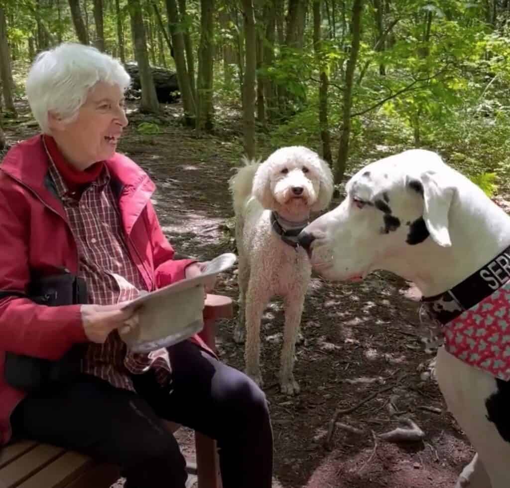 Neue tierische Freunde für Seniorin