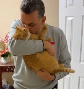 Katze will Papa: Basta!