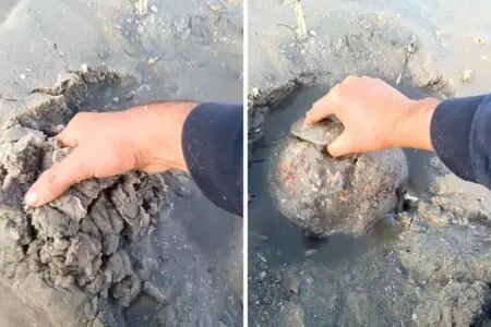 Mann gräbt mit Hand im Sandstrand - Was er dann herauszieht, lässt den Atem stocken