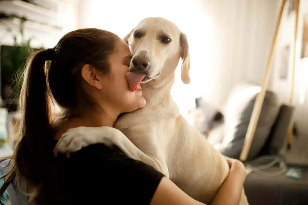 Verstehen Hunde, wenn ihr Besitzer traurig ist?