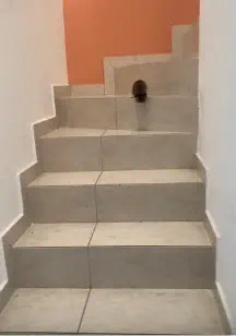 Winziges Katzenbaby auf hoher Treppe