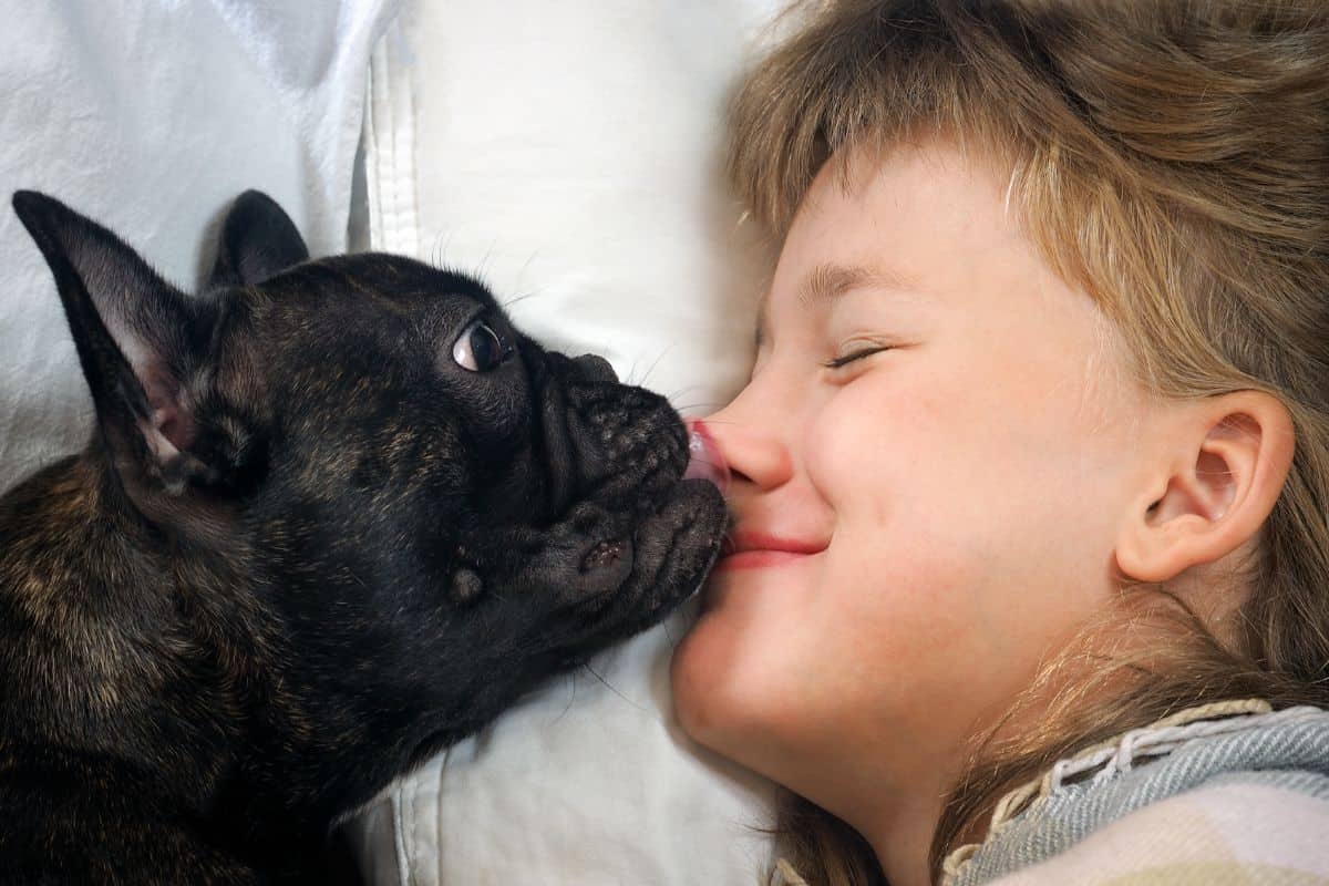 Warum leckt mein Hund mich ab? Antwort & Tipps