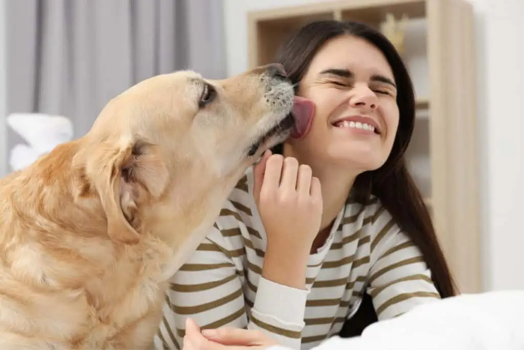 warum schlecken hunde menschen ab