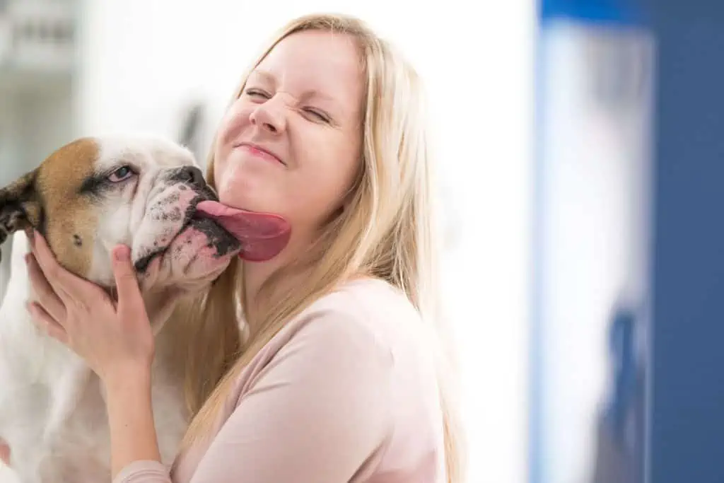 6 Anzeichen, wie Hunde Dankbarkeit und Zuneigung zeigen