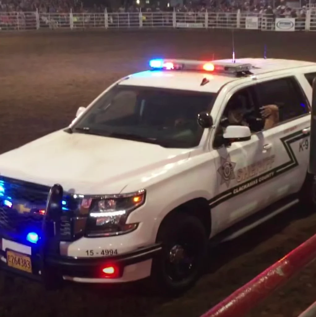 Rodeo Cop „Rodeo-Clown” legt sich mit Cop an - doch dessen tierischer Freund ...