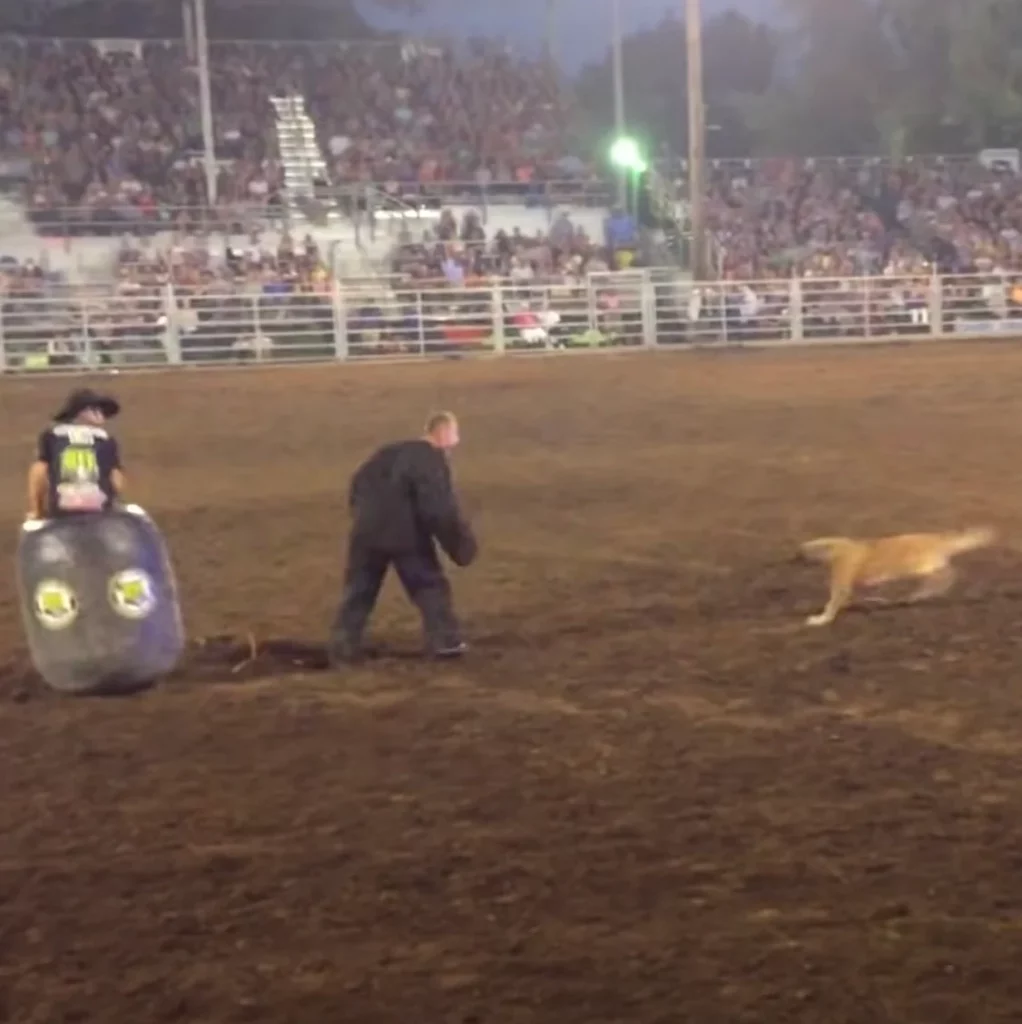 Rodeo Cop „Rodeo-Clown” legt sich mit Cop an - doch dessen tierischer Freund ...
