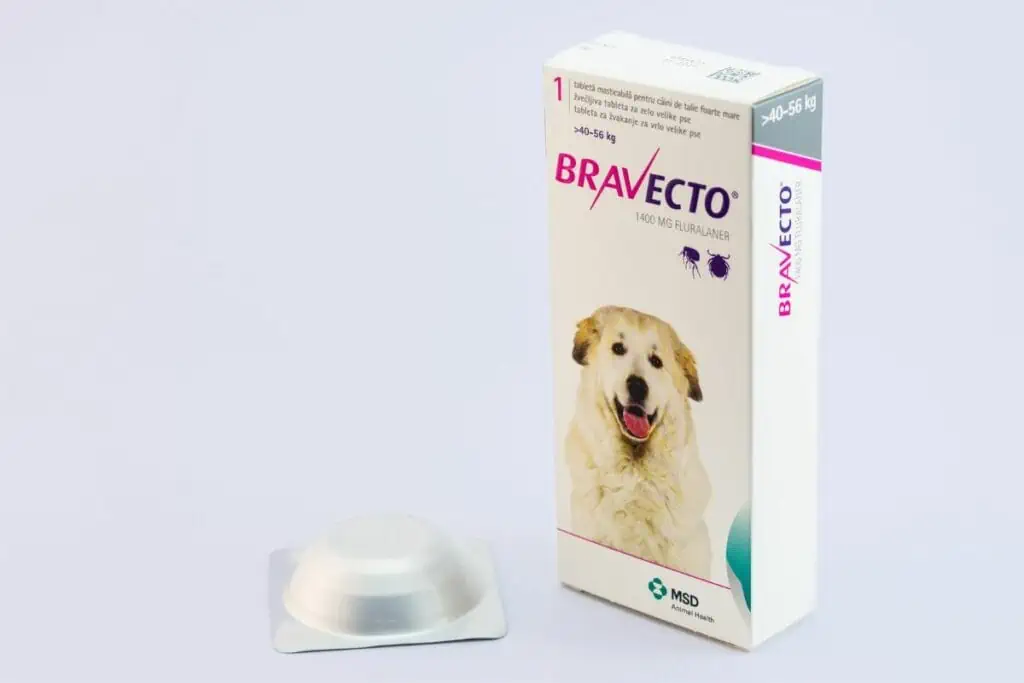 Bravecto für Hunde Dosierung, Wirkung & Nebenwirkungen