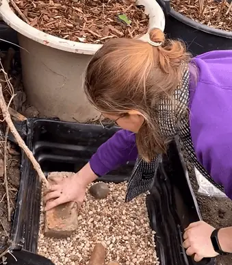 Kleiner Teich ganz groß - so genial erschafft eine Frau ein Mini-Paradies für Frösche