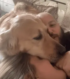 Mann und Frau wollen im Bett kuscheln - wie ihr Hund darauf reagiert, ist der pure Zucker