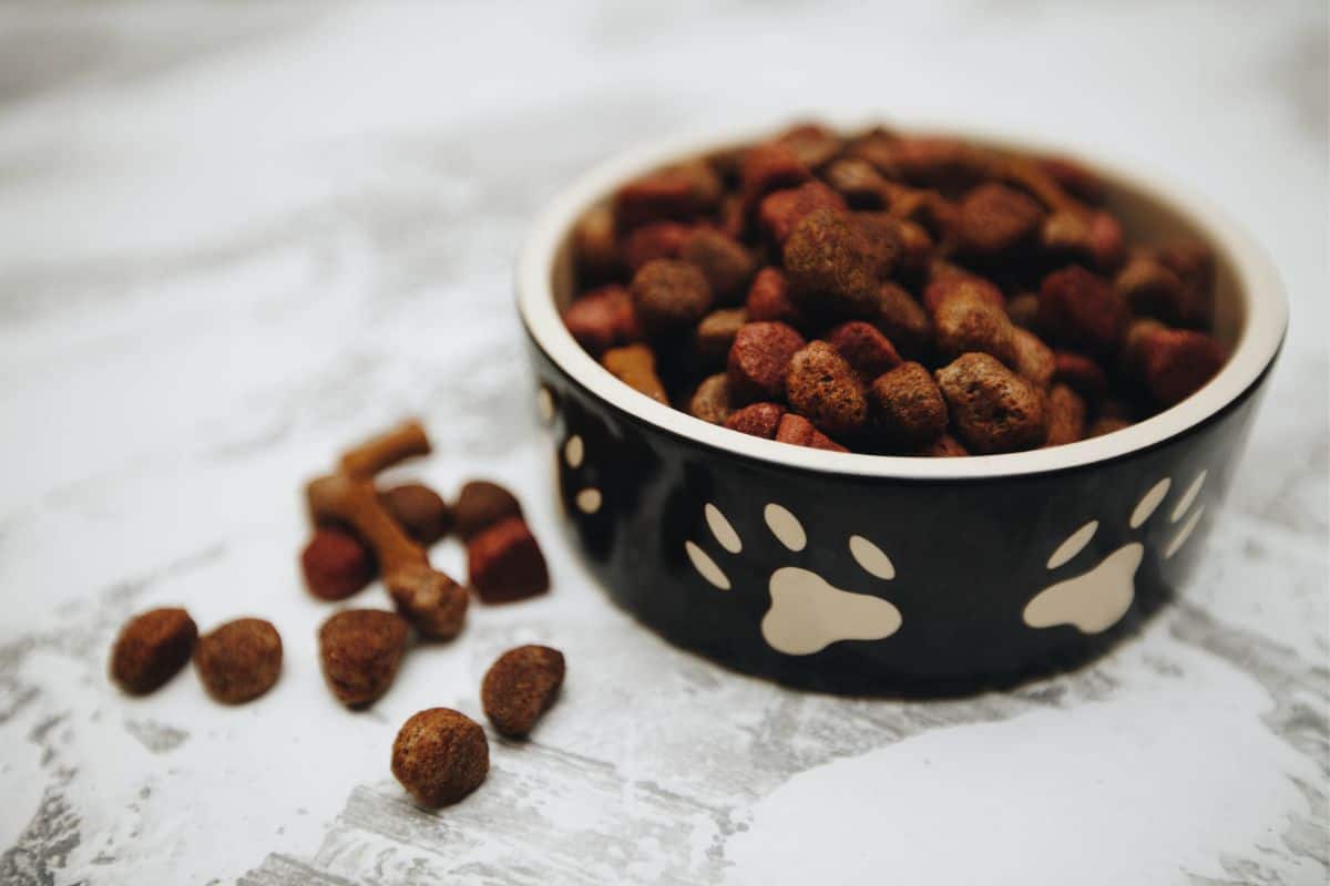 hundebett nach ma Ovales & Rundes Hundebett Outdoor