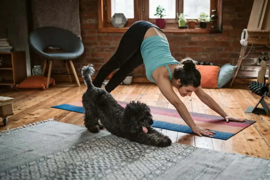 Wie funktioniert Yoga mit Hund?