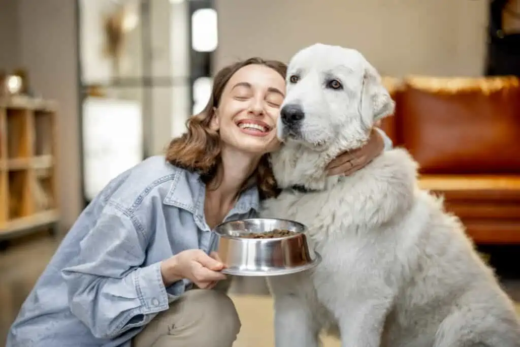 Welche Faktoren beeinflussen, wie oft man einen Hund füttern sollte?
