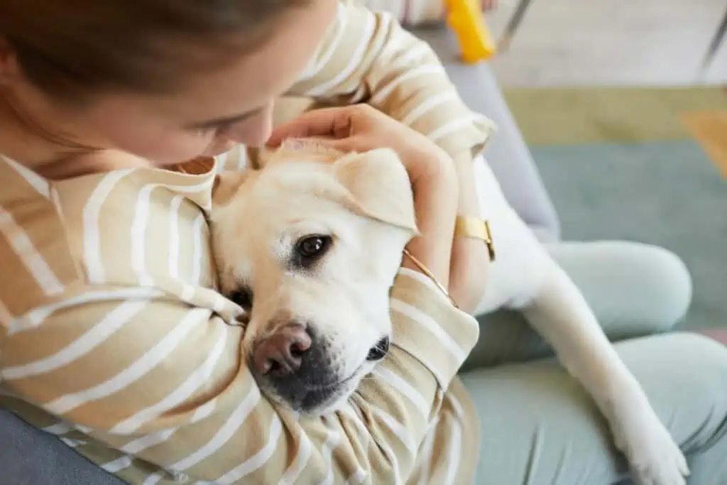 Welche Rolle spielt Körpersprache bei der stürmischen Begrüßung von Hunden, und wie kann ich sie beeinflussen?
