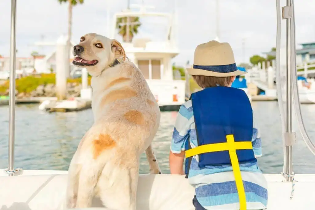 Gibt es spezielle Einrichtungen oder Services für Hunde auf Kreuzfahrtschiffen?