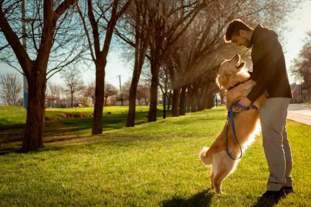 Die 10 schönsten Liebeserklärungen für den Hund