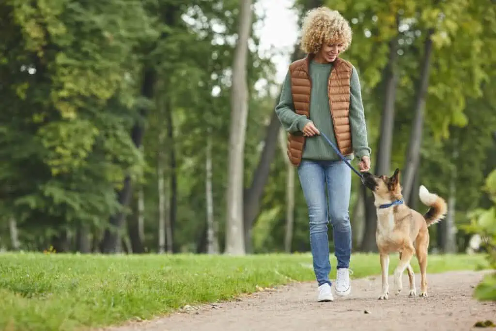 Gibt es Übungen, die meinem Hund mit Patellaluxation während des Spaziergangs helfen können?