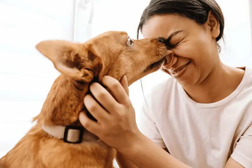 vom Hund lecken lassen