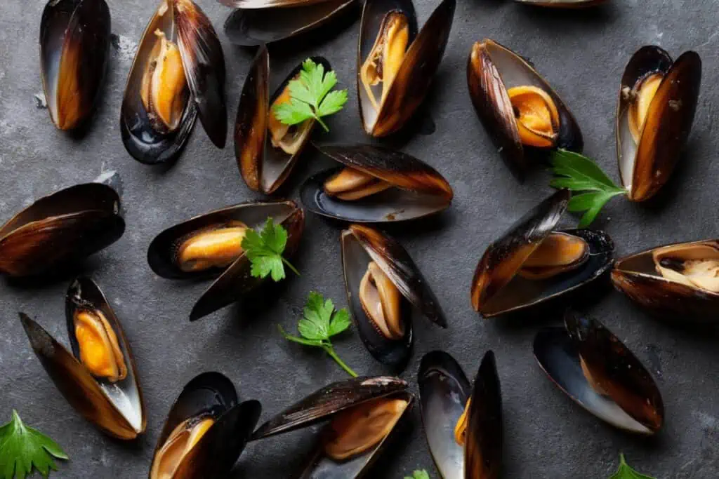 dürfen hunde muscheln essen