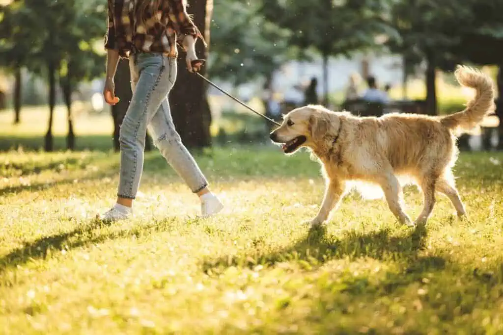 hund nur einmal am tag raus