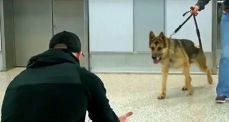 wiedersehen-soldat-polizeihund