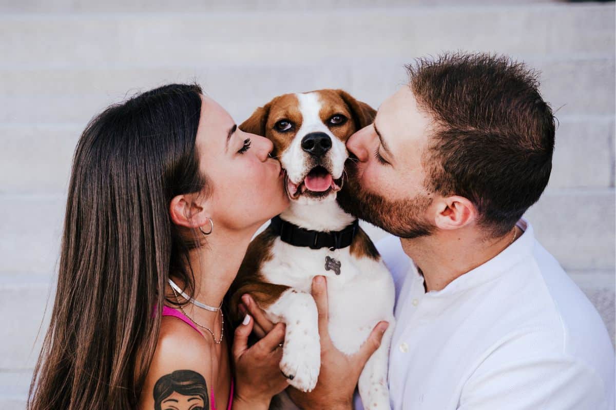 Was Denken Hunde Wenn Man Sie Küsst Was denken Hunde, wenn man sie küsst? Die ehrliche Antwort!