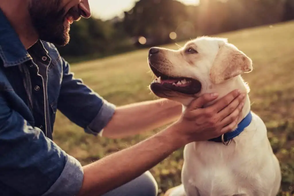 11 wunderschöne Sprüche zur Hund-Mensch-Beziehung