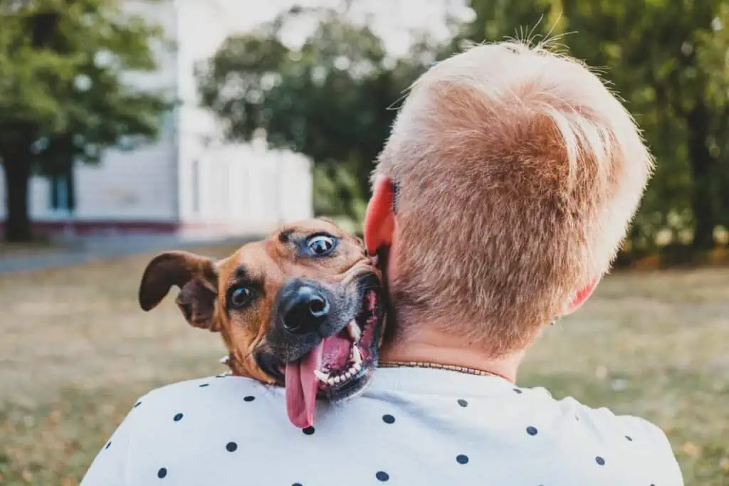 11 lustige Sprüche zur Hund-Mensch-Beziehung