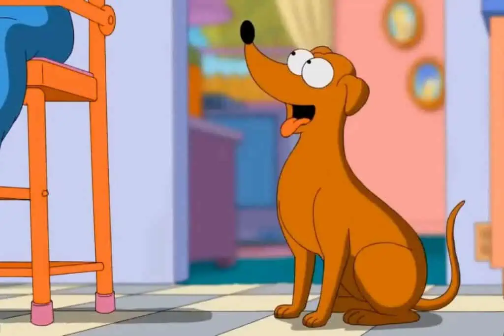 simpsons hund