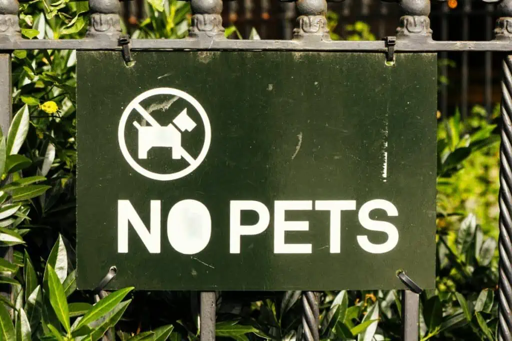 Sind Hunde im Zoo Leipzig erlaubt?