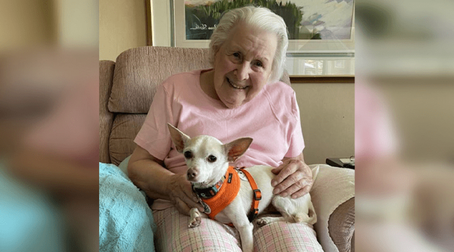100-jährige Frau adoptiert 11-jährigen Hund - das perfekte Zuhause!