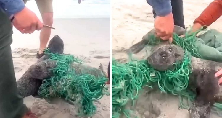 2 Männer gehen am Meer spazieren